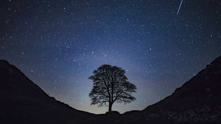 Get starry-eyed at Low Gillerthwaite Field Centre