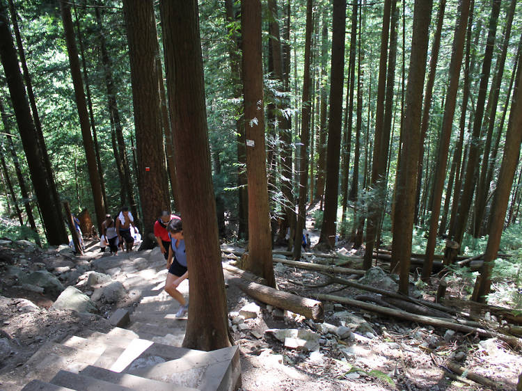 Grouse Mountain