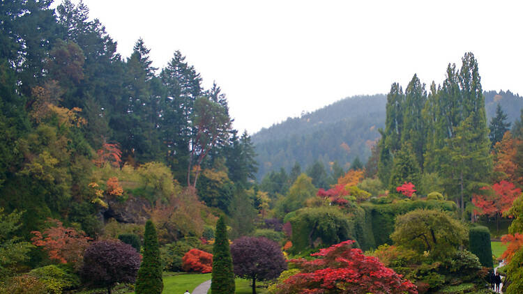 Butchart Gardens