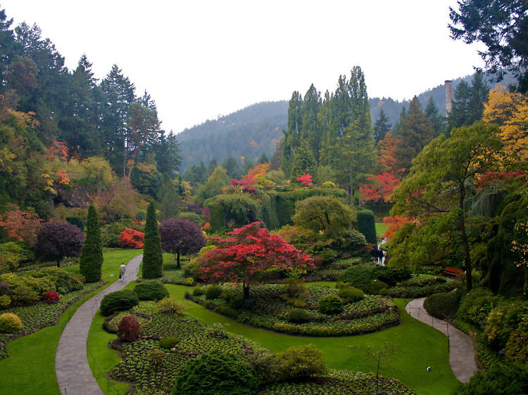 Butchart Gardens