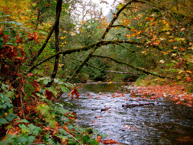 Goldstream Nature House