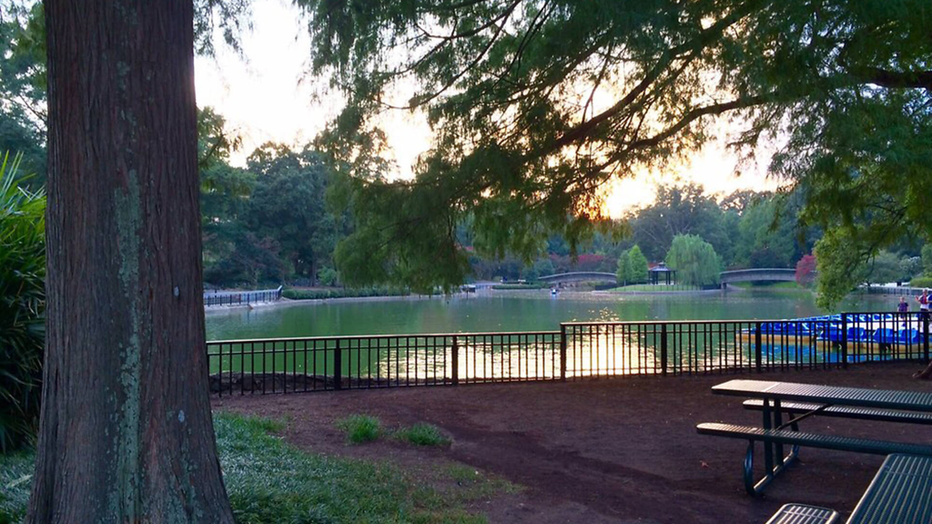 Things to do in Raleigh | 14 Must-See Sights and Attractions