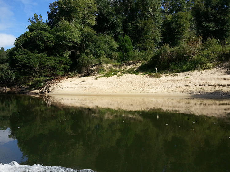 Bear Paw Adventures and the Chipola River