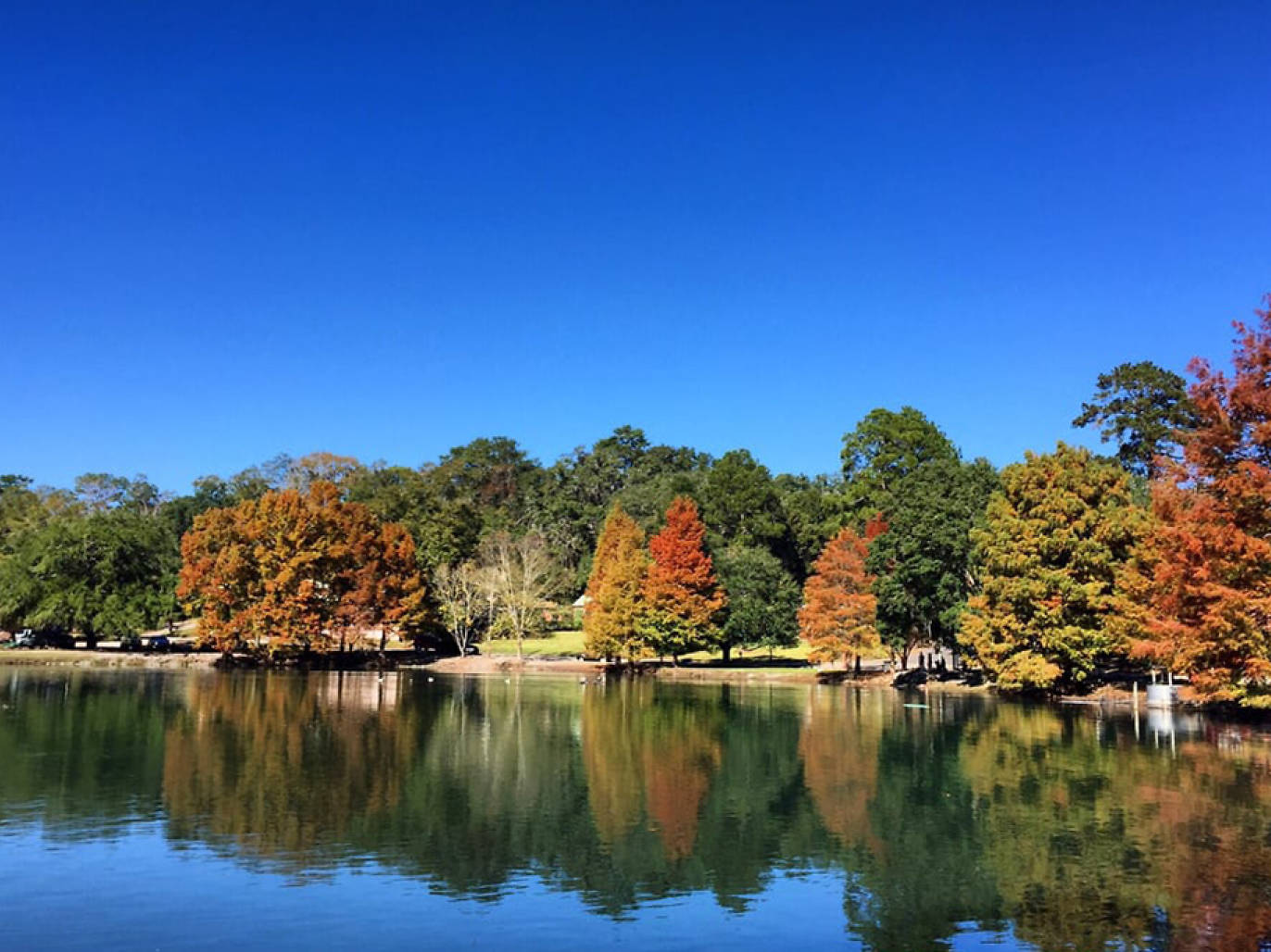 Things to do in Tallahassee 12 MustSee Sights and Attractions