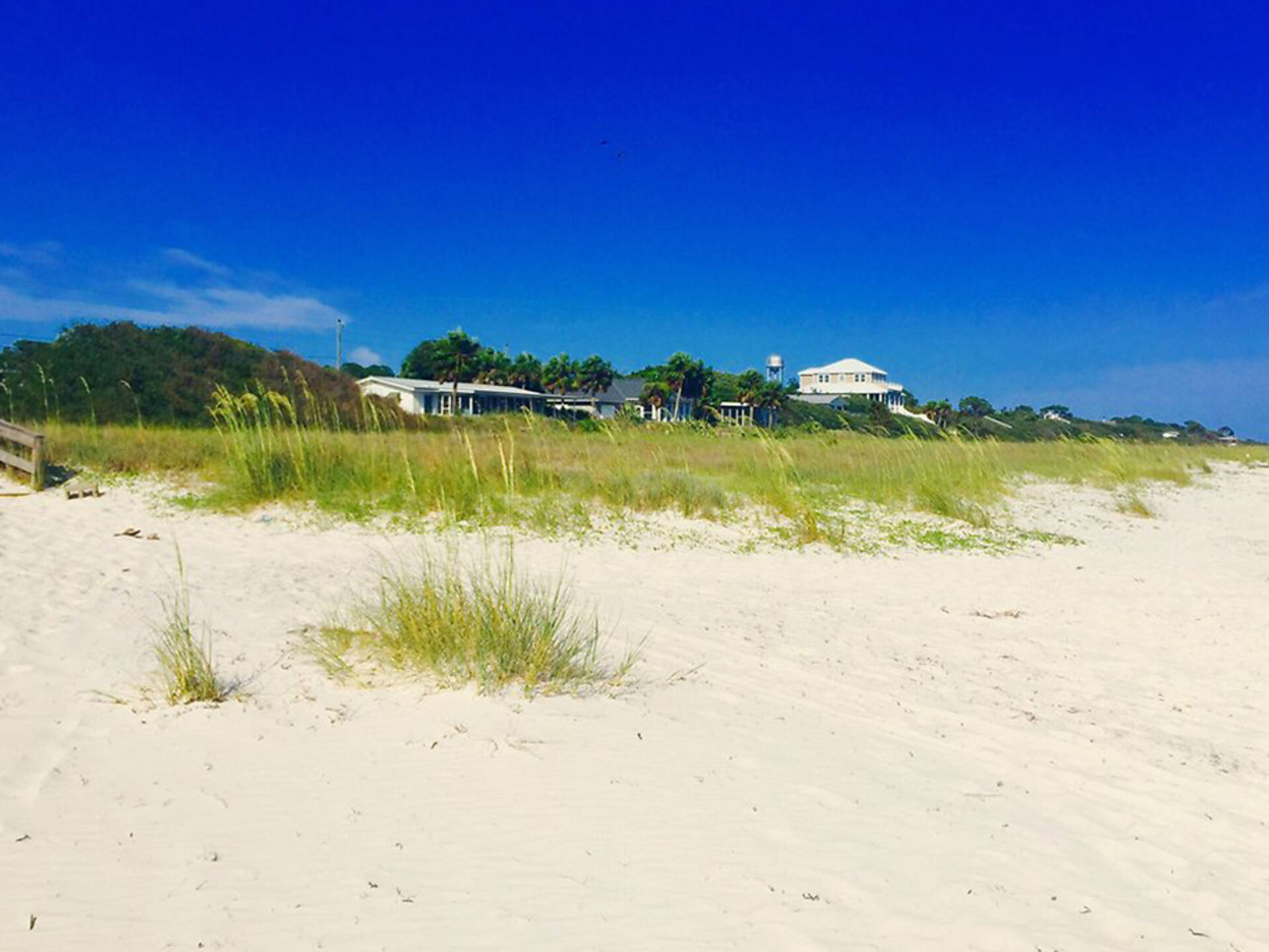 This One Simple Habit Unlocks the Best Things to Experience in Tallahassee Forever