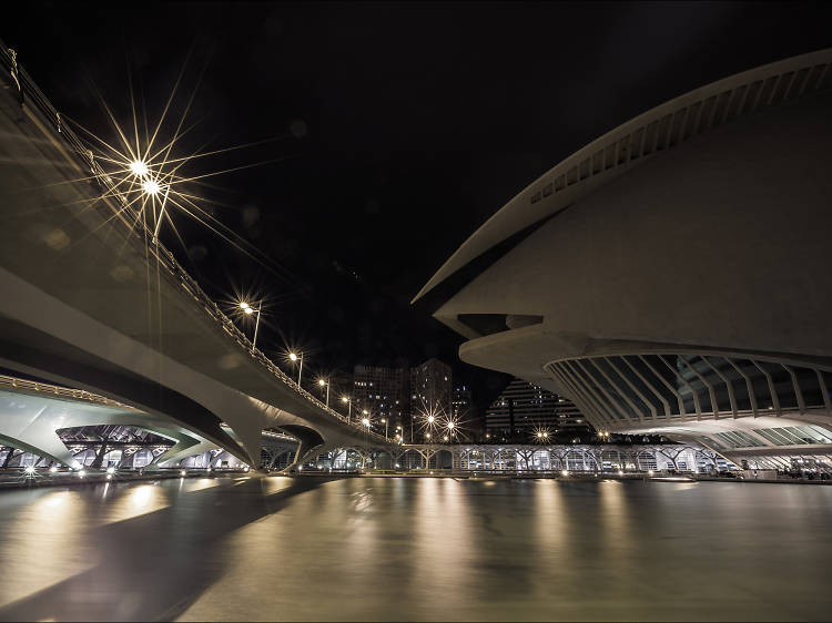 City of Arts and Sciences (CAC)