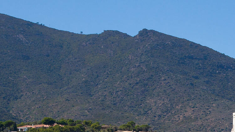 Una naturaleza resplandeciente