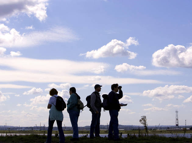 The Wildlife Walk 1013118