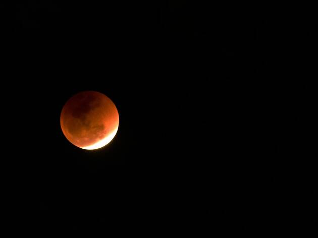 Eclipse da Lua Eclipse da Lua
