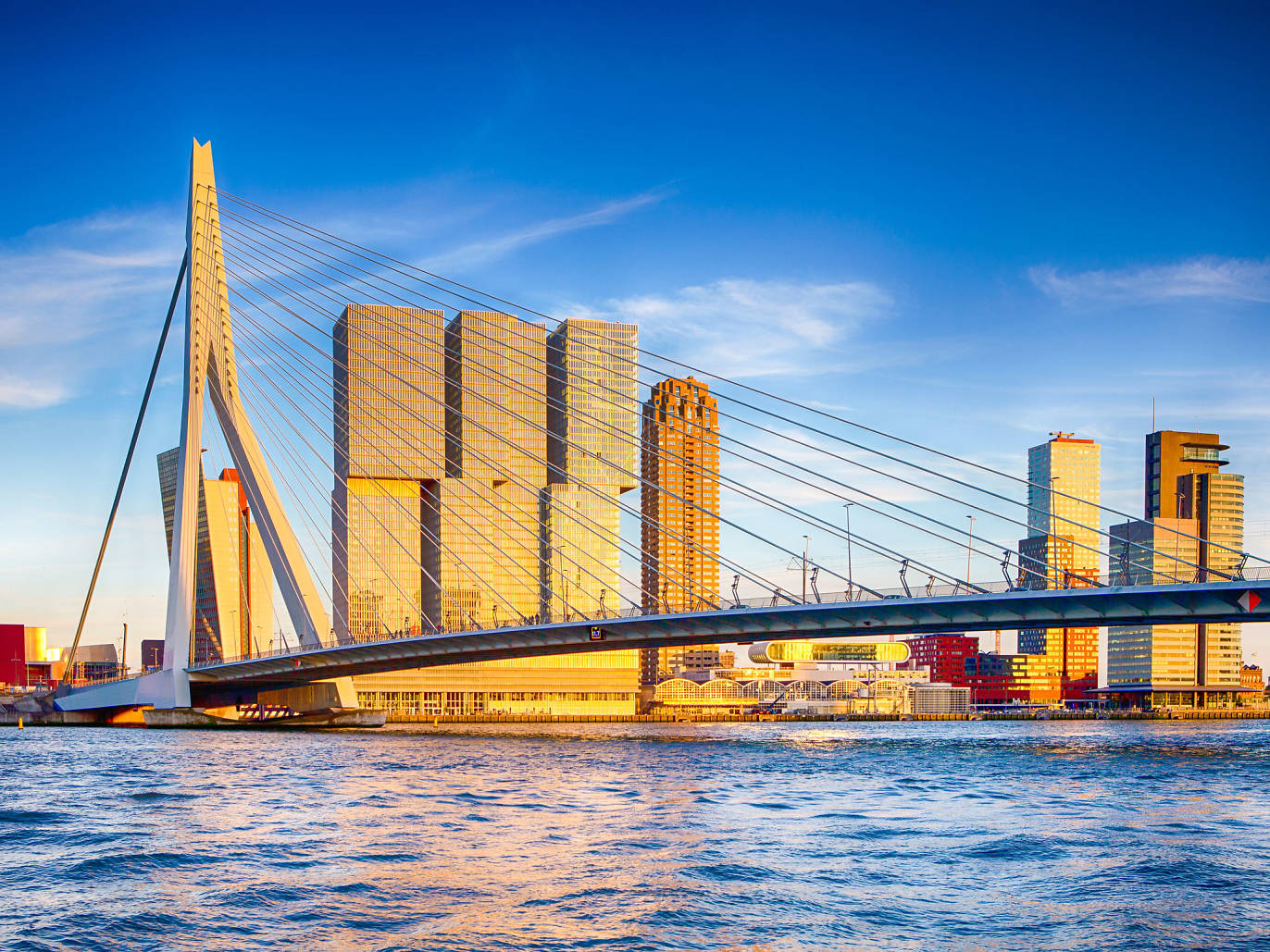 Things To Do In Rotterdam | 13 Must-See Attractions