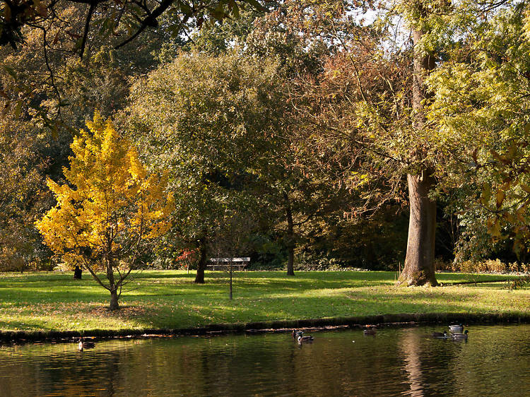 Arboretum Trompenburg / Kralingse Bos