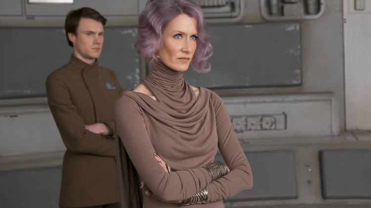 Vice Admiral Amilyn Holdo