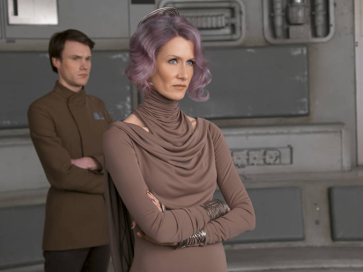 Vice Admiral Amilyn Holdo