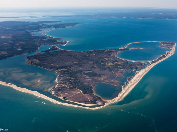 Chappaquiddick Island