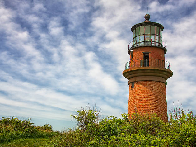 Martha's Vineyard EITW Martha's Vineyard EITW