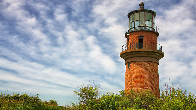 The 12 best things to do on Martha’s Vineyard