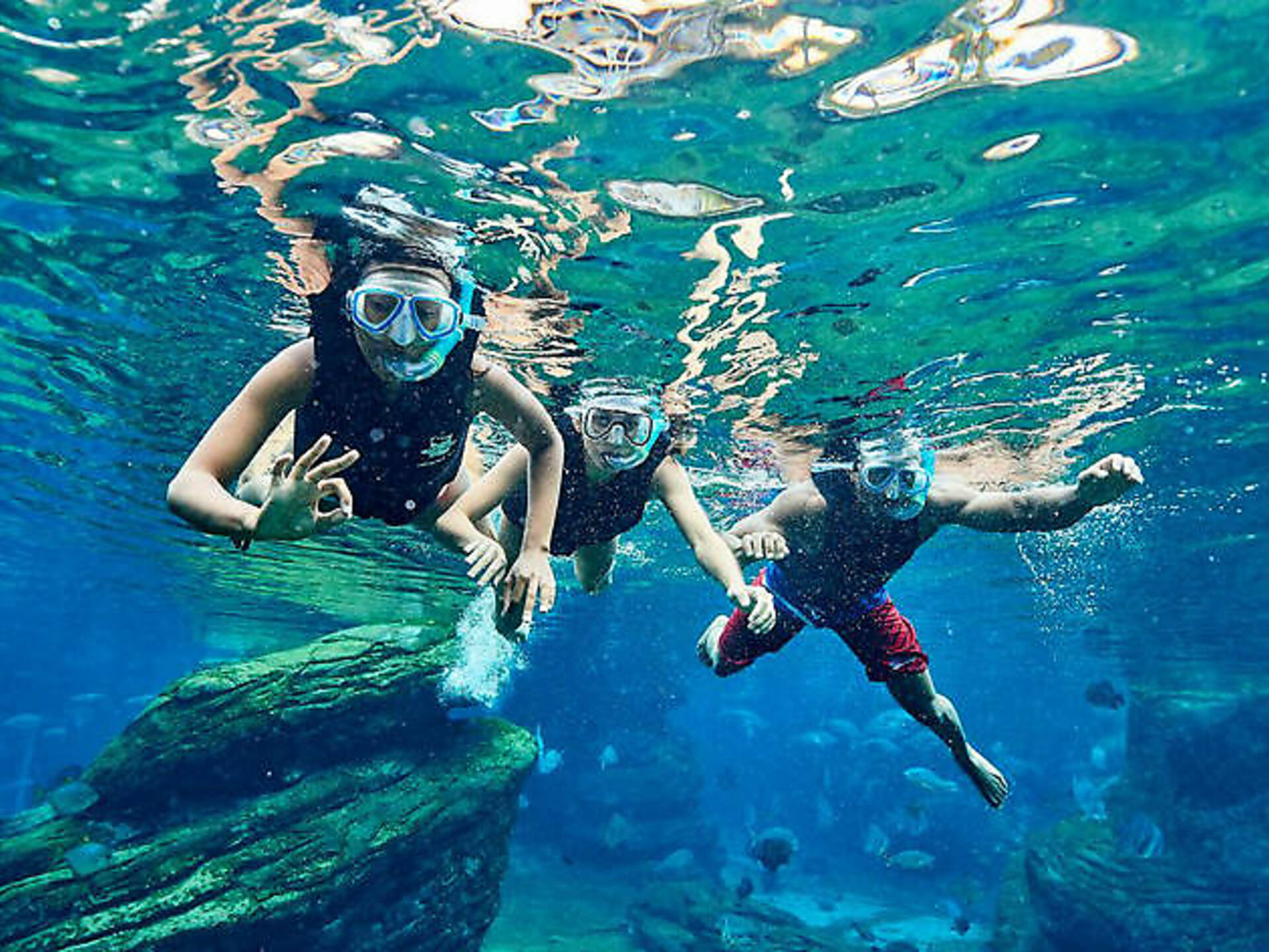 THE 10 BEST THINGS TO DO IN DURBAN visual data 2