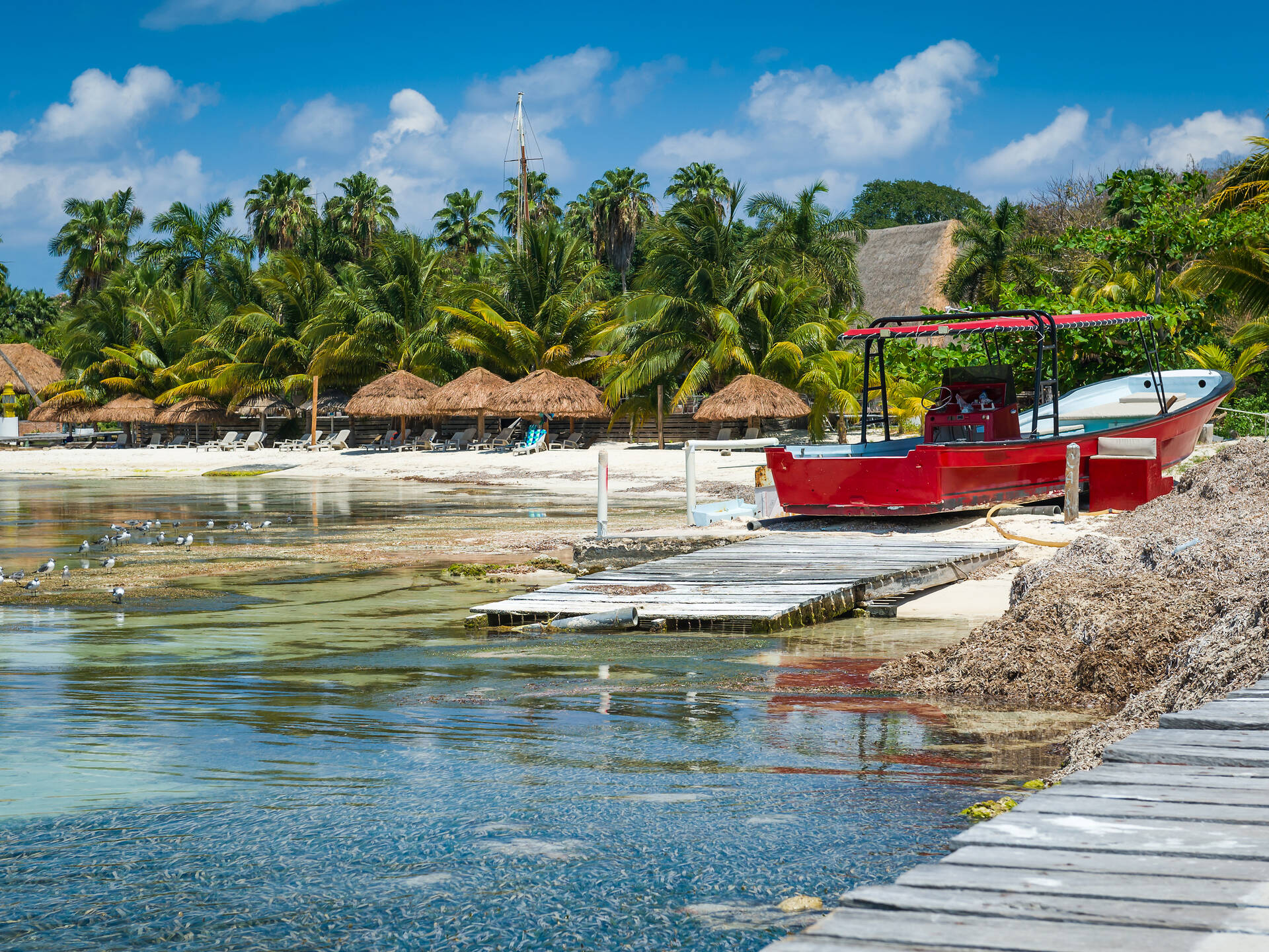 Tulum, Riviera Maya 2026 | Ultimate Guide To Where To Go, Eat & Sleep ...