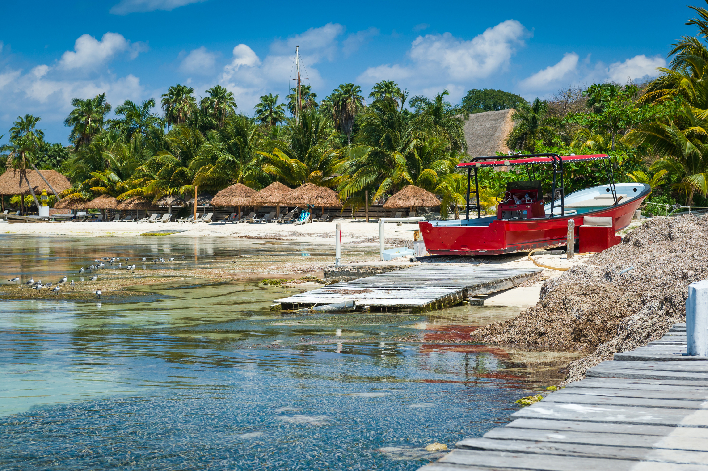things-to-do-in-cancun-with-kids-kids-matttroy