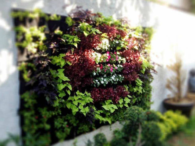 Espacio verde Espacio verde