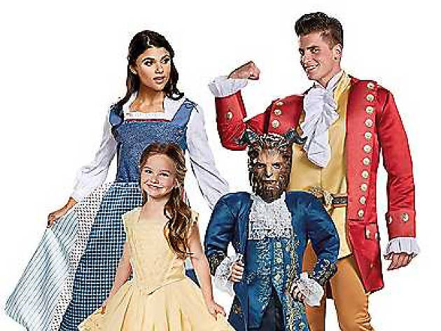 beauty and the beast halloween costume beauty and the beast halloween costume