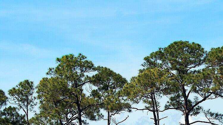 Bon Secour National Wildlife Refuge