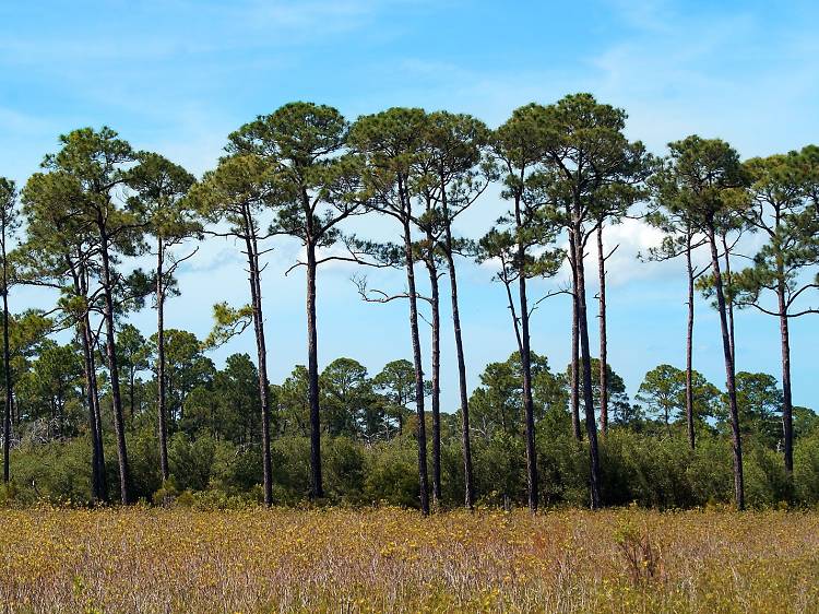 Bon Secour National Wildlife Refuge