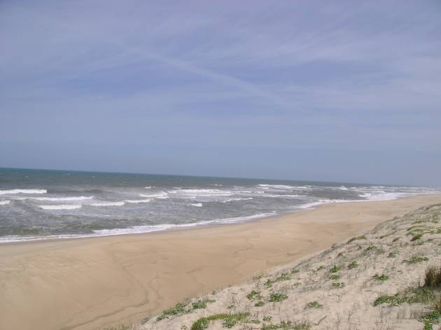 Praia do Samouco