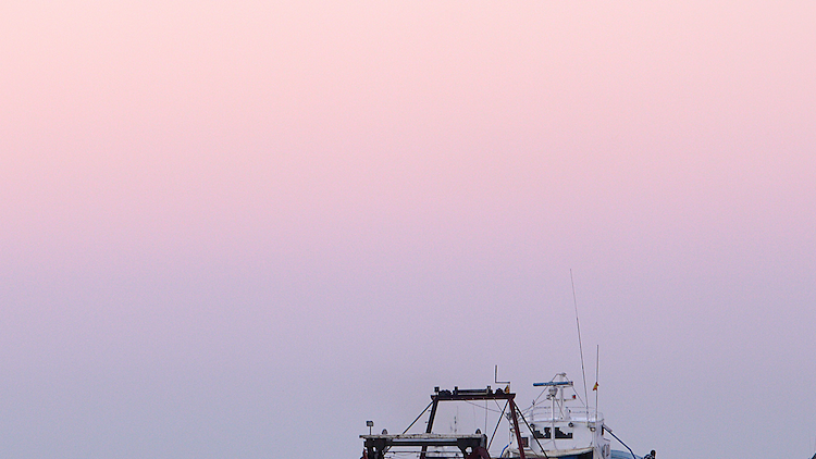 Pescadores por un día en Cambrils