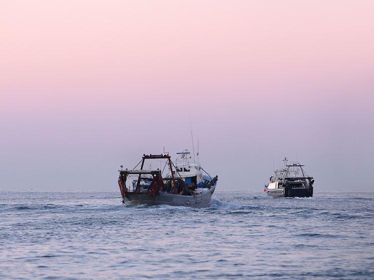 Pescadores por un día en Cambrils