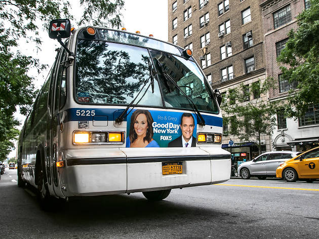 The slowest bus in the city wouldn’t even beat a manatee in a race The slowest bus in the city wouldn’t even beat a manatee in a race
