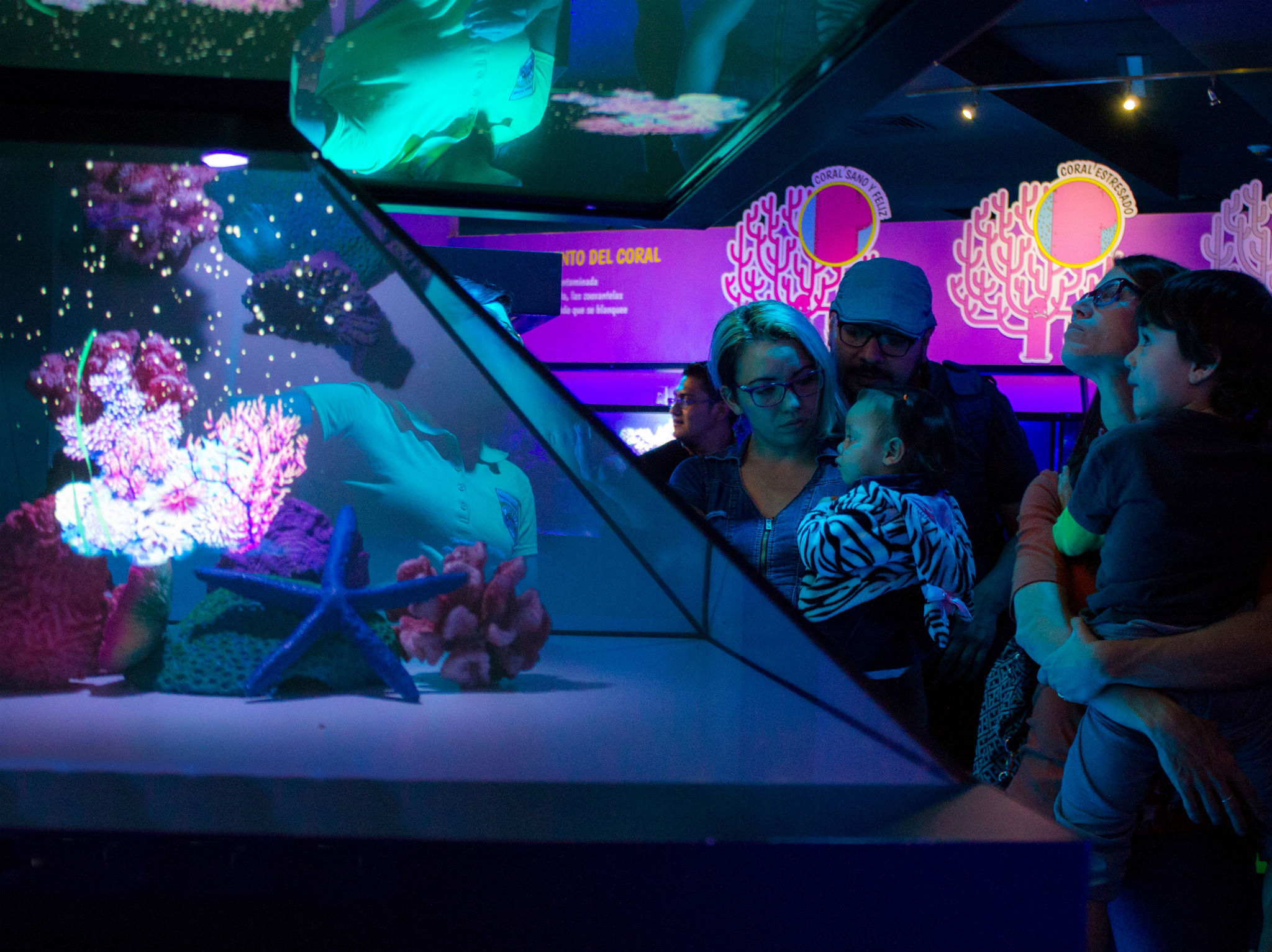 ¡ya Puedes Visitar El Nuevo Acuario Interactivo En La Cdmx 9254