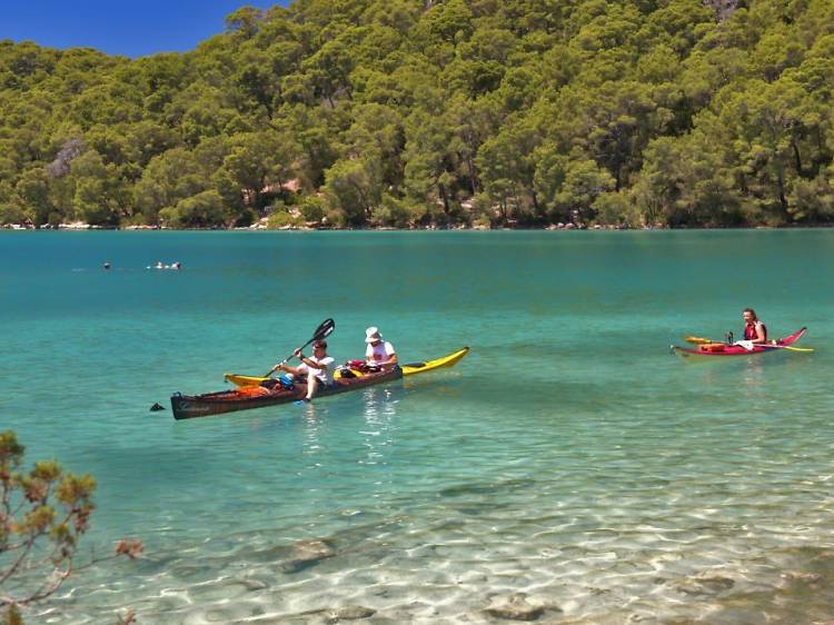 Natural Dalmatia, as seen through a tour of famous islands