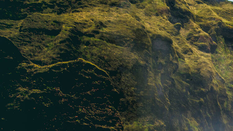 Dance through rainbows at the bottom of Skógafoss waterfall