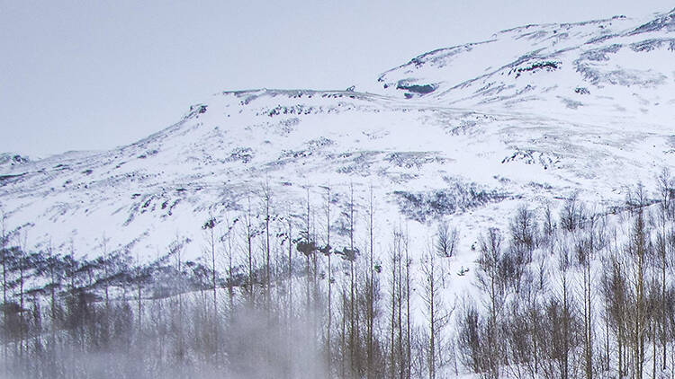 Watch a boiling natural eruption at the Geysir Hot Spring Area