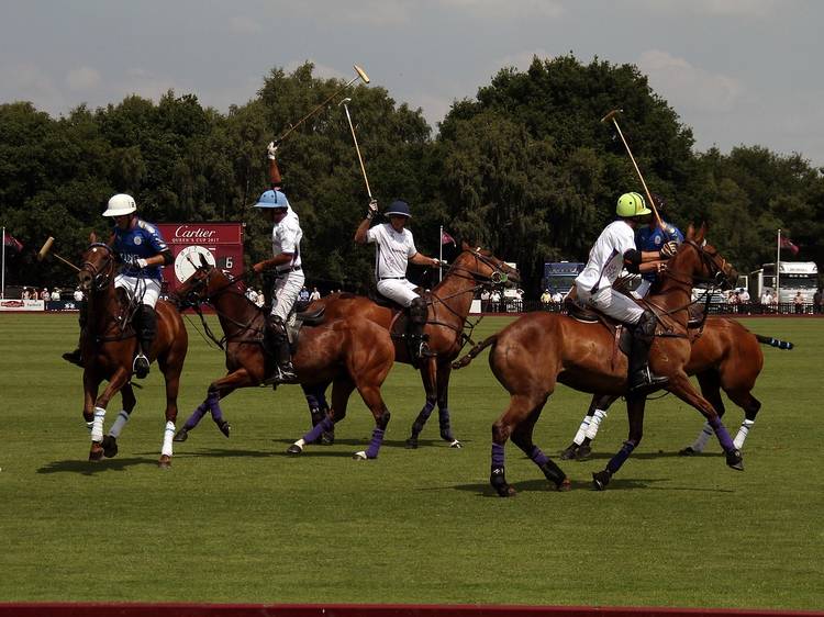 Aiken Polo Club