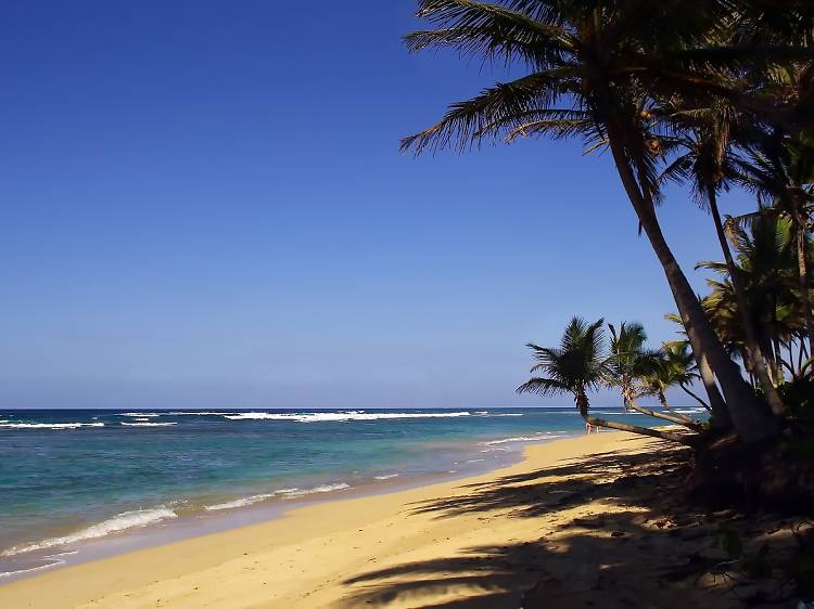 Bavaro Beach