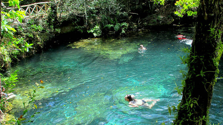 Indigenous Eyes Ecological Park & Reserve