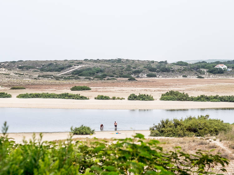 Observatório de aves