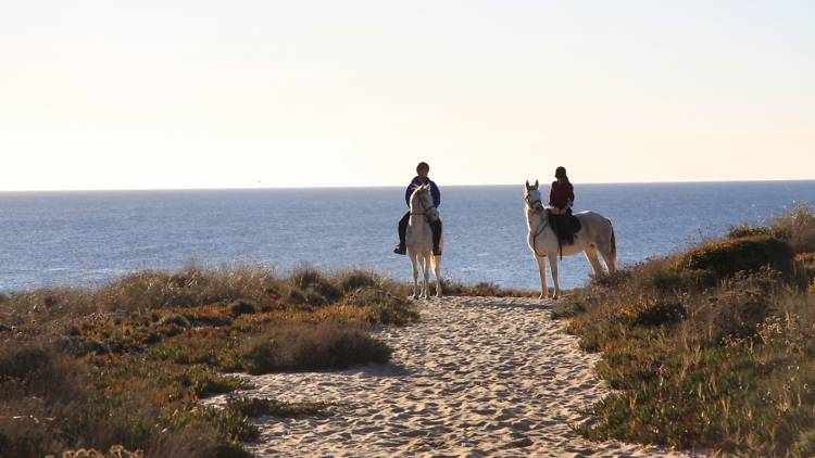 Passeios a Cavalo, Melides