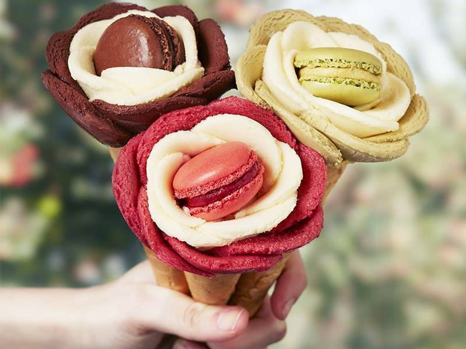 10 Best Gelato Shops in the San Francisco Bay Area