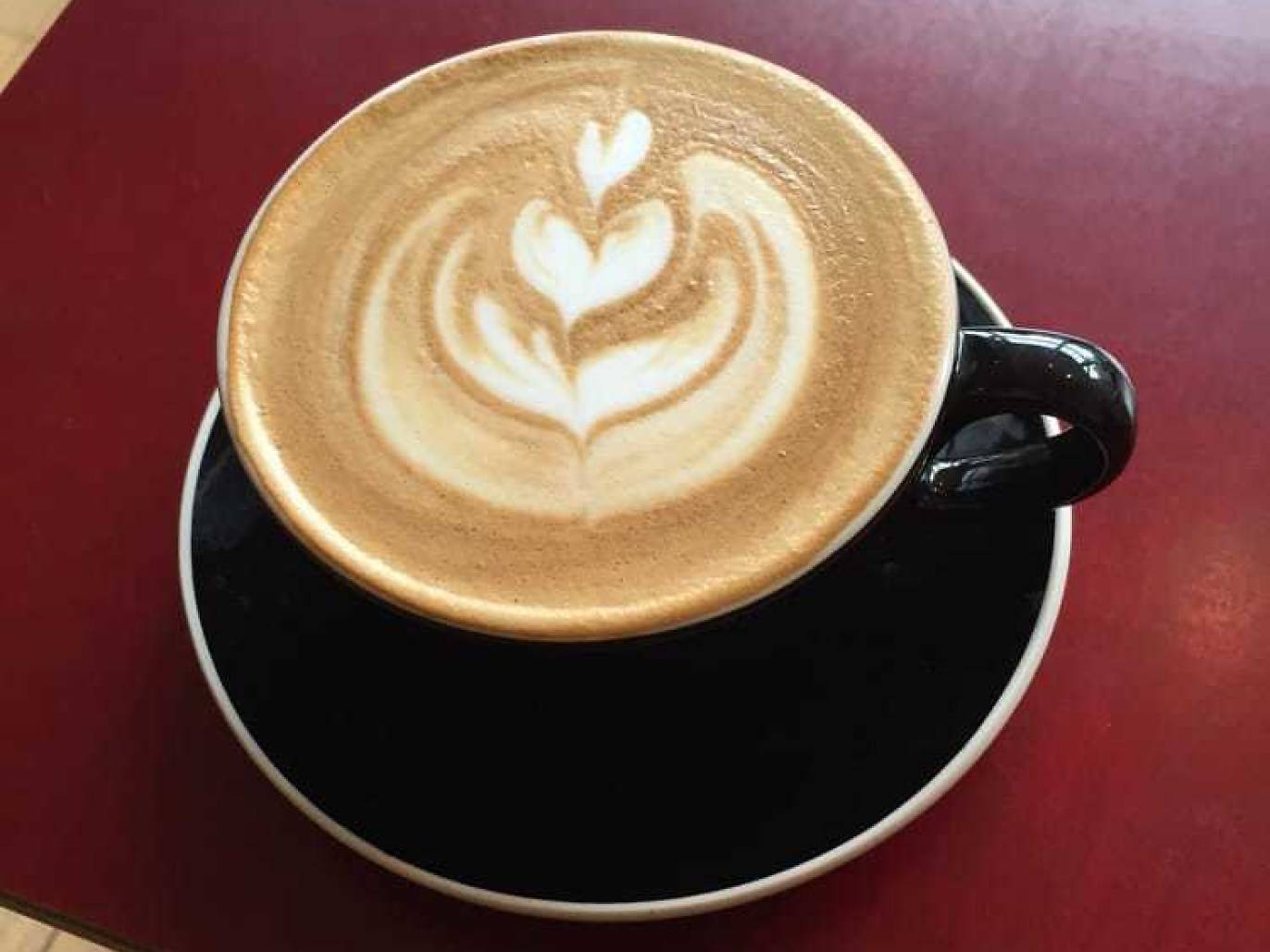 Things to Do in Ann Arbor 10 Attractions and Activities