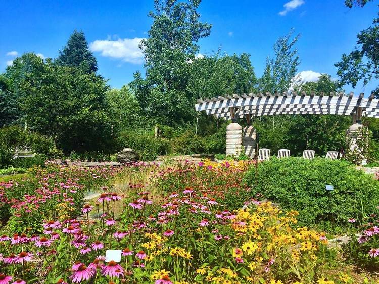 Matthaei Botanical Gardens