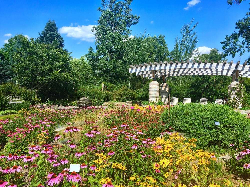 Things to Do in Ann Arbor 10 Attractions and Activities