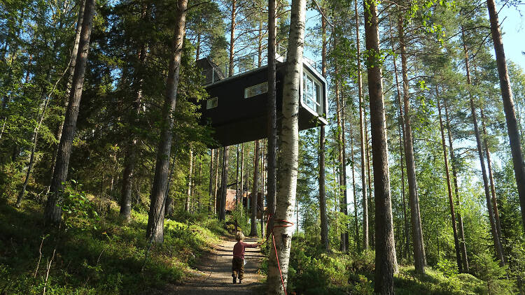 Sleep in the trees by the Arctic Circle