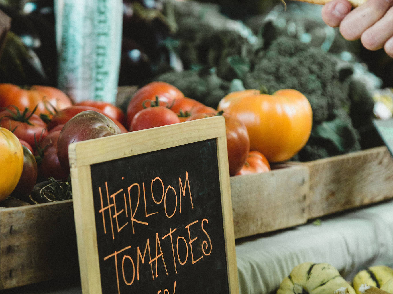 7 Best Food Delivery in Miami to Fuel Up From Home