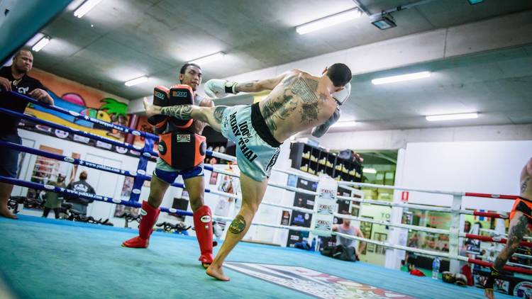 SRG Muay Thai (Photograph: Supplied)