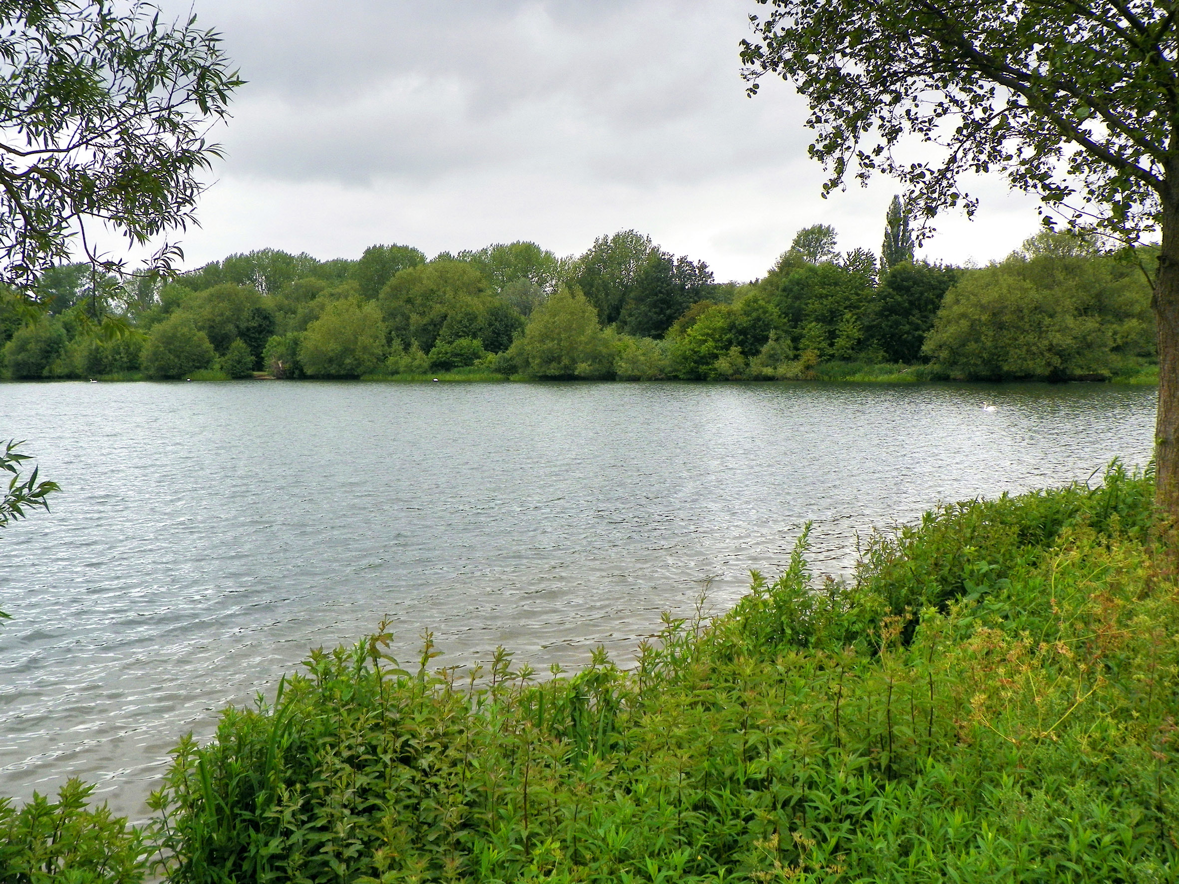 Rickmansworth Aquadrome Nature Reserve Attractions in Hertfordshire