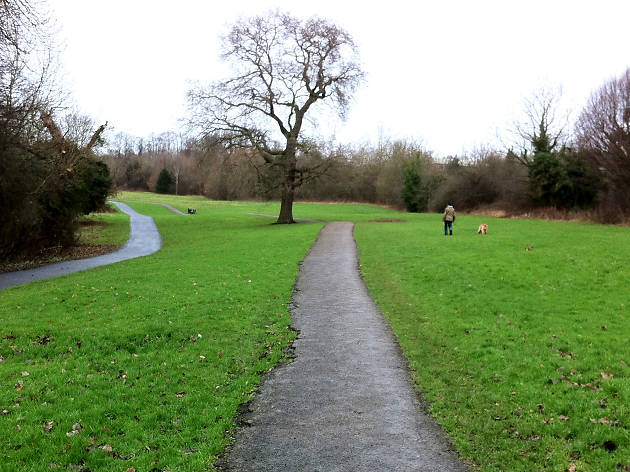 Brook Farm Open Space Cinemas Totteridge and Whetstone  London