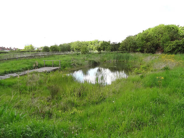 Blondin Park Blondin Park